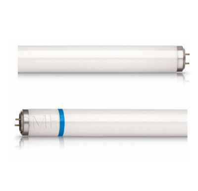 PHILIPS Actinic BL TL 8W／10 Secura（带防爆膜）