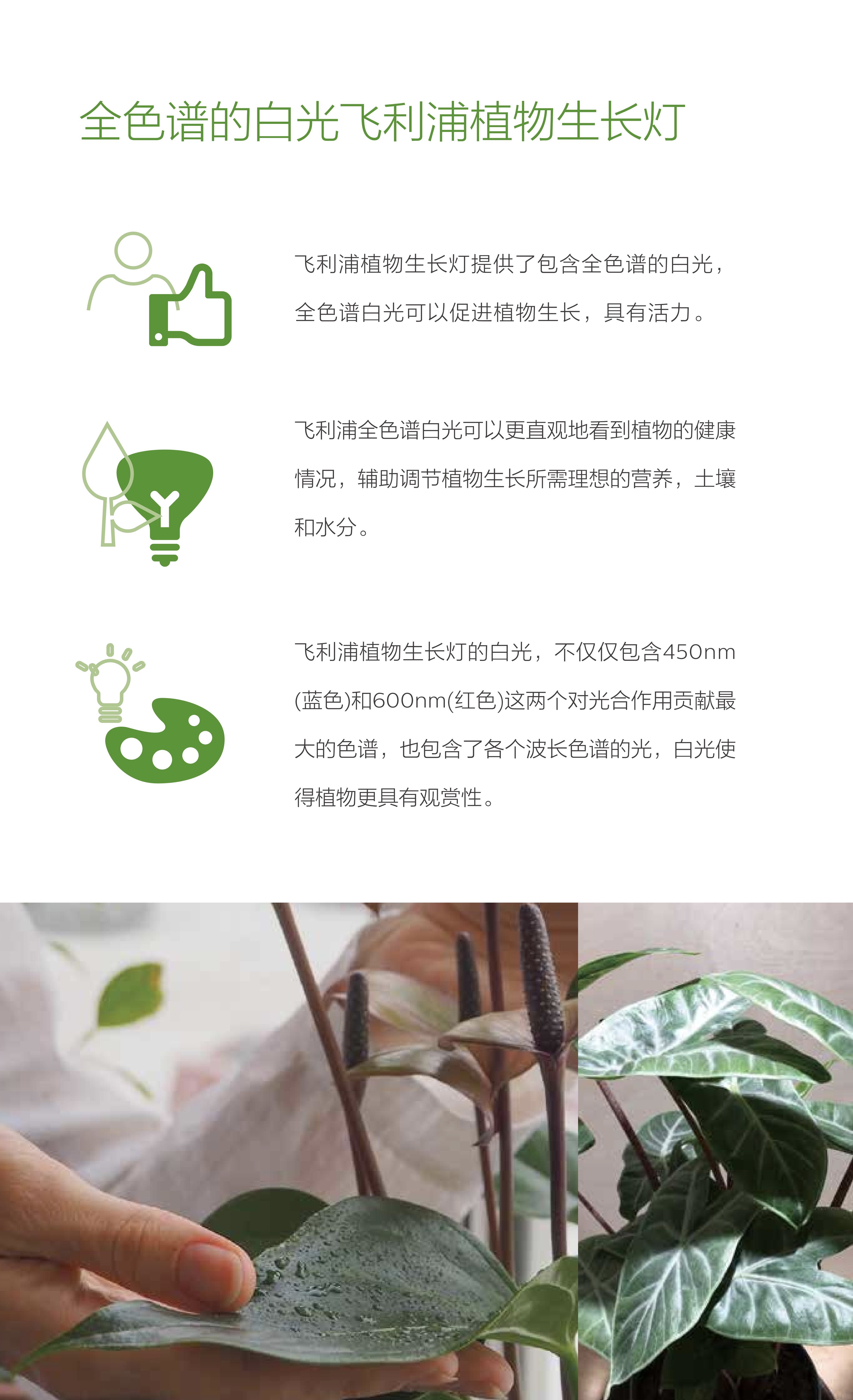 飞利浦PHILIPS LED T5 HO 植物生长灯 3.jpg