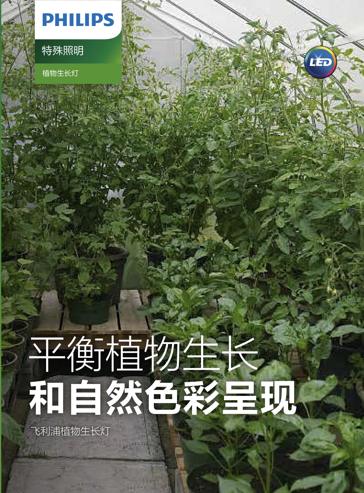 飞利浦PHILIPS LED T5 HO 植物生长灯 1.jpg